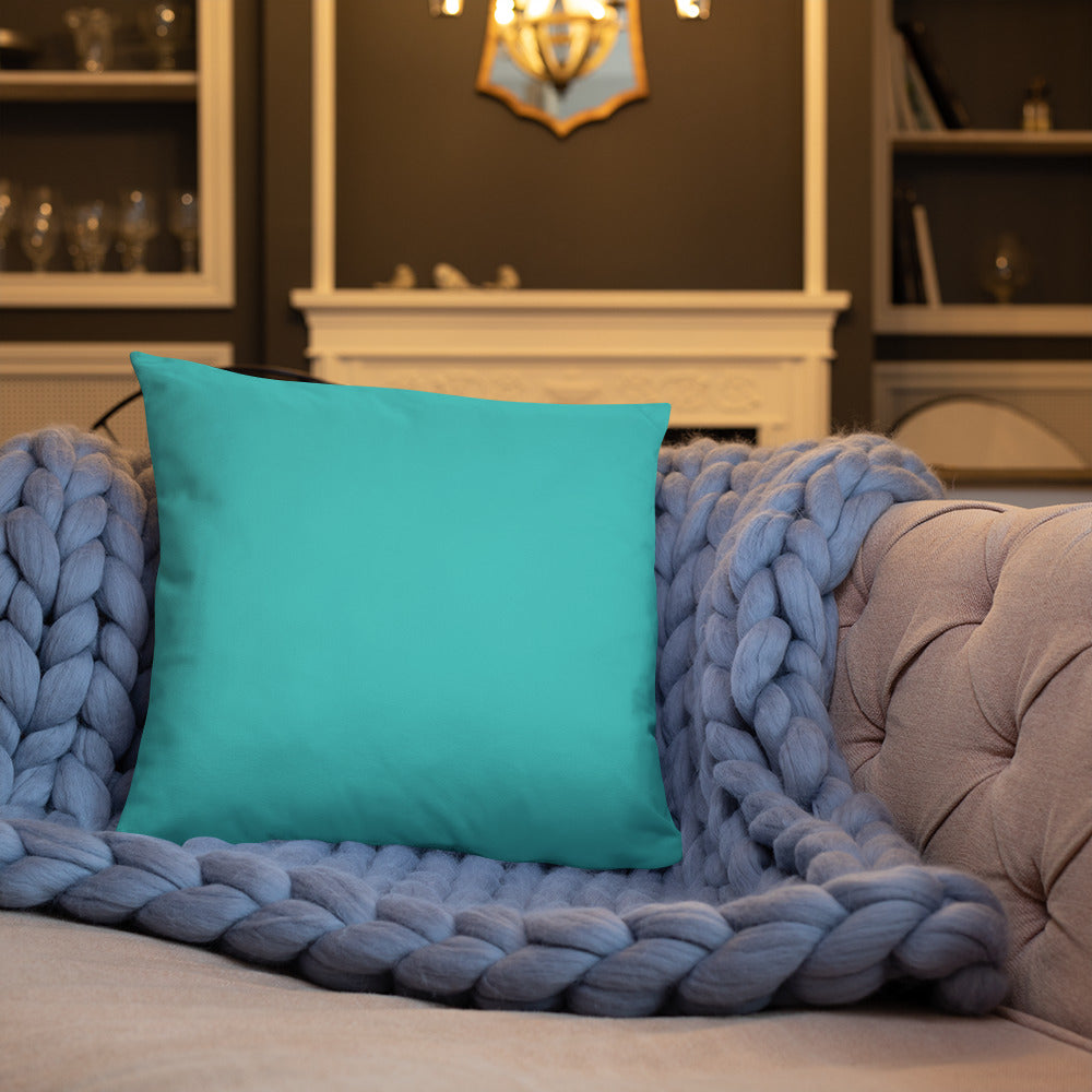 Salty Pillow