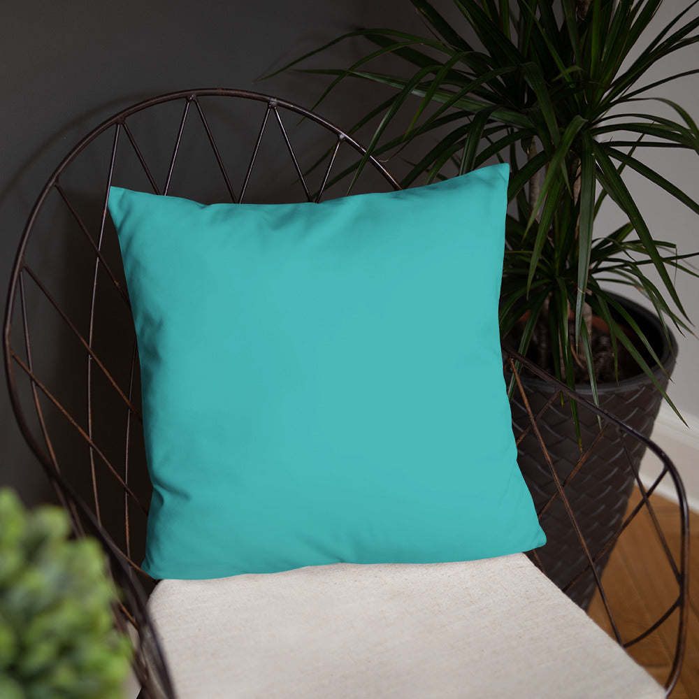 Salty Pillow