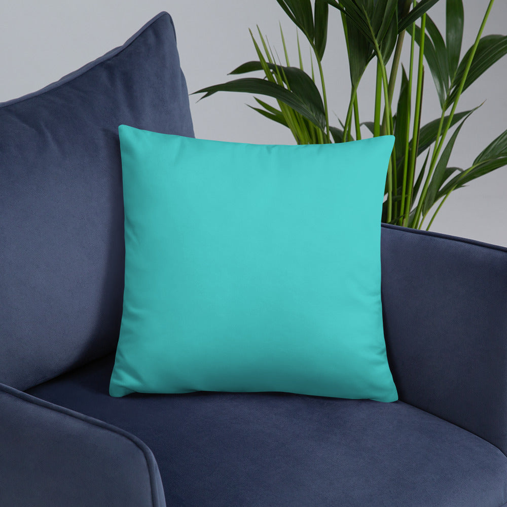 Salty Pillow